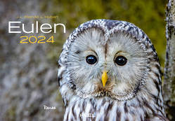 Eulen Kalender 2024 von KLEIN