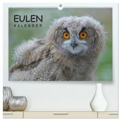 Eulen-Kalender (hochwertiger Premium Wandkalender 2024 DIN A2 quer), Kunstdruck in Hochglanz von Wolf,  Gerald