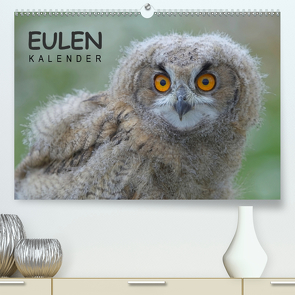 Eulen-Kalender (Premium, hochwertiger DIN A2 Wandkalender 2021, Kunstdruck in Hochglanz) von Wolf,  Gerald