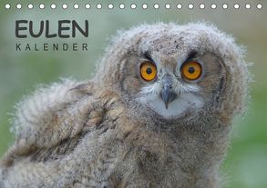 Eulen-Kalender (Tischkalender 2019 DIN A5 quer) von Wolf,  Gerald