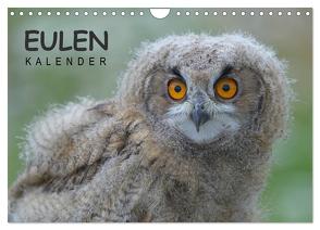 Eulen-Kalender (Wandkalender 2024 DIN A4 quer), CALVENDO Monatskalender von Wolf,  Gerald