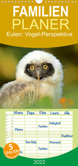 Familienplaner Eulen: Vogel-Perspektive (Wandkalender 2022 , 21 cm x 45 cm, hoch) von CALVENDO