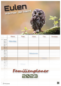 Eulen – Wächter der Nacht – 2023 – Kalender DIN A3 – (Familienplaner)