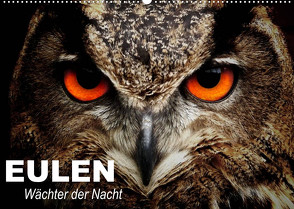 Eulen. Wächter der Nacht (Wandkalender 2023 DIN A2 quer) von Stanzer,  Elisabeth