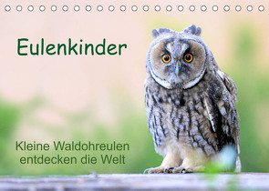 Eulenkinder – Kleine Waldohreulen entdecken die Welt (Tischkalender 2022 DIN A5 quer) von Müller,  Carolin
