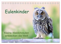 Eulenkinder – Kleine Waldohreulen entdecken die Welt (Tischkalender 2024 DIN A5 quer), CALVENDO Monatskalender von Müller,  Carolin