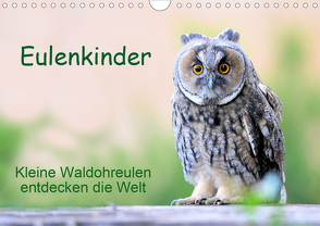 Eulenkinder – Kleine Waldohreulen entdecken die Welt (Wandkalender 2021 DIN A4 quer) von Müller,  Carolin