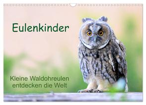 Eulenkinder – Kleine Waldohreulen entdecken die Welt (Wandkalender 2024 DIN A3 quer), CALVENDO Monatskalender von Müller,  Carolin