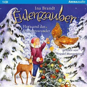 Eulenzauber. Flora und das Weihnachtswunder von Brandt,  Ina, Morgenstern,  Friedel