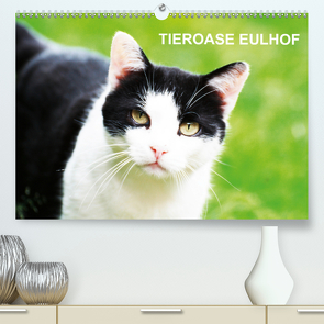 Eulhof (Premium, hochwertiger DIN A2 Wandkalender 2021, Kunstdruck in Hochglanz) von Meiser-Lill,  Margit