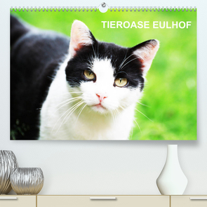 Eulhof (Premium, hochwertiger DIN A2 Wandkalender 2023, Kunstdruck in Hochglanz) von Meiser-Lill,  Margit