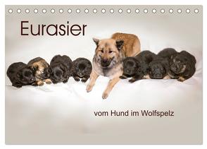 Eurasier, der Hund im Wolfspelz (Tischkalender 2024 DIN A5 quer), CALVENDO Monatskalender von Überall,  Peter