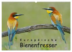 Europäische Bienenfresser (Wandkalender 2024 DIN A2 quer), CALVENDO Monatskalender von Wolf,  Gerald