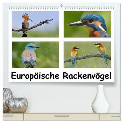 Europäische Rackenvögel (hochwertiger Premium Wandkalender 2024 DIN A2 quer), Kunstdruck in Hochglanz von Wolf,  Gerald