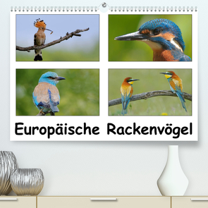 Europäische Rackenvögel (Premium, hochwertiger DIN A2 Wandkalender 2023, Kunstdruck in Hochglanz) von Wolf,  Gerald