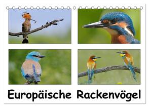 Europäische Rackenvögel (Tischkalender 2024 DIN A5 quer), CALVENDO Monatskalender von Wolf,  Gerald