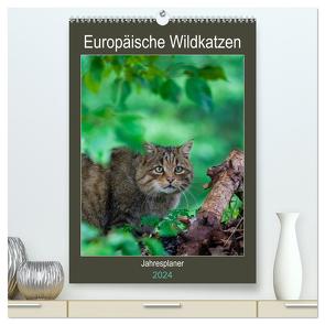 Europäische Wildkatzen – Jahresplaner (hochwertiger Premium Wandkalender 2024 DIN A2 hoch), Kunstdruck in Hochglanz von Webeler,  Janita