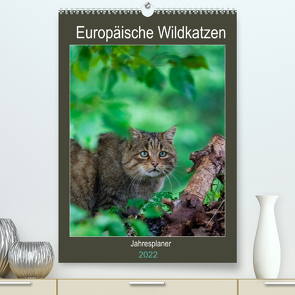 Europäische Wildkatzen – Jahresplaner (Premium, hochwertiger DIN A2 Wandkalender 2022, Kunstdruck in Hochglanz) von Webeler,  Janita