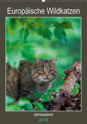 Europäische Wildkatzen – Jahresplaner (Wandkalender 2018 DIN A2 hoch) von Webeler,  Janita