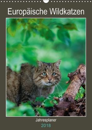 Europäische Wildkatzen – Jahresplaner (Wandkalender 2018 DIN A3 hoch) von Webeler,  Janita