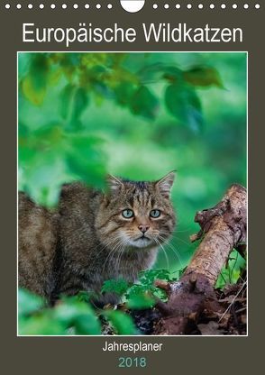 Europäische Wildkatzen – Jahresplaner (Wandkalender 2018 DIN A4 hoch) von Webeler,  Janita