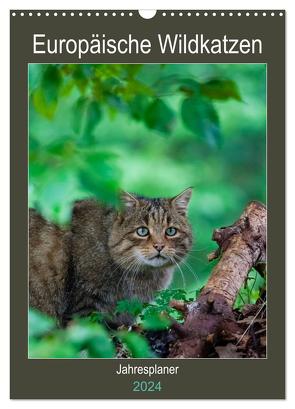 Europäische Wildkatzen – Jahresplaner (Wandkalender 2024 DIN A3 hoch), CALVENDO Monatskalender von Webeler,  Janita