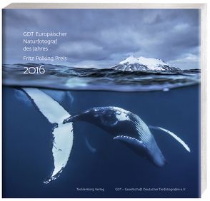Europäischer Naturfotograf des Jahres und Fritz Pölking Preis 2016 von Gesellschaft Deutscher Tierfotografen