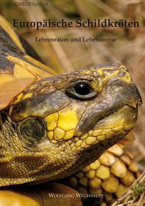 Europäische Schildkröten von Wegehaupt,  Wolfgang