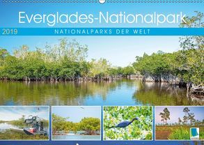 Everglades Nationalpark in Florida (Wandkalender 2019 DIN A2 quer) von CALVENDO