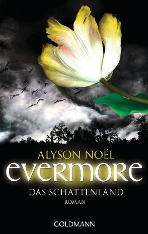 Evermore 3 – Das Schattenland von Bezzenberger,  Marie-Luise, Noël,  Alyson