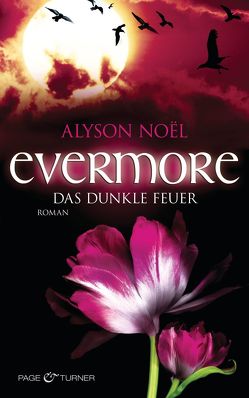 Evermore 4 – Das dunkle Feuer von Noël,  Alyson