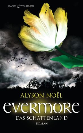Evermore – Das Schattenland von Bezzenberger,  Marie-Luise, Noël,  Alyson