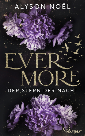 Evermore – Der Stern der Nacht von Böckler,  Ariane, Noël,  Alyson