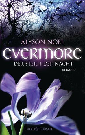 Evermore – Der Stern der Nacht von Noël,  Alyson