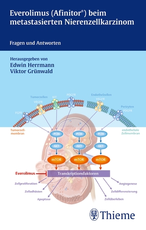 Everolismus (Affinitor) beim metastatsierenden Nierenzellkarzinom von Grünwald,  Viktor, Herrmann,  Edwin