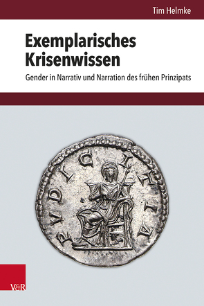 Exemplarisches Krisenwissen von Helmke,  Tim