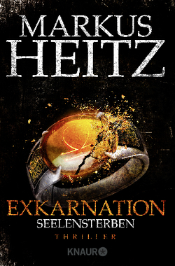 Exkarnation – Seelensterben von Heitz,  Markus