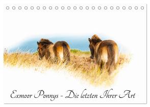 Exmoor Ponnys – Die letzten Ihrer Art (Tischkalender 2024 DIN A5 quer), CALVENDO Monatskalender von Antoniewski,  Torsten