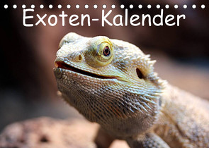 Exoten-Kalender (Tischkalender 2023 DIN A5 quer) von Witkowski,  Bernd