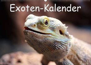 Exoten-Kalender (Wandkalender 2019 DIN A2 quer) von Witkowski,  Bernd