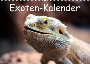 Exoten-Kalender (Wandkalender 2023 DIN A2 quer) von Witkowski,  Bernd