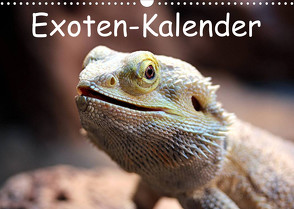 Exoten-Kalender (Wandkalender 2023 DIN A3 quer) von Witkowski,  Bernd