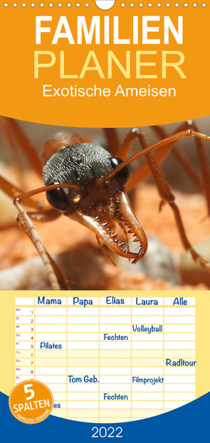 Familienplaner Exotische Ameisen (Wandkalender 2022 , 21 cm x 45 cm, hoch) von Störmer,  Roland