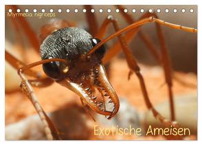 Exotische Ameisen (Tischkalender 2024 DIN A5 quer), CALVENDO Monatskalender von Störmer,  Roland