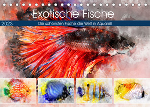 Exotische Fische – Die schönsten Fische der Welt in Aquarell (Tischkalender 2023 DIN A5 quer) von Frost,  Anja