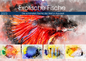 Exotische Fische – Die schönsten Fische der Welt in Aquarell (Wandkalender 2023 DIN A2 quer) von Frost,  Anja