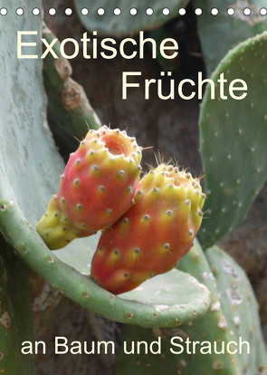 Exotische Früchte an Baum und Strauch (Tischkalender 2022 DIN A5 hoch) von Goldscheider,  Stefanie