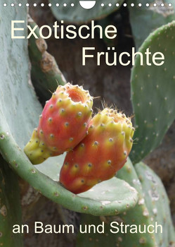 Exotische Früchte an Baum und Strauch (Wandkalender 2023 DIN A4 hoch) von Goldscheider,  Stefanie
