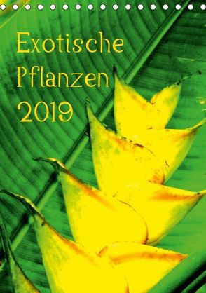 Exotische Pflanzen (Tischkalender 2019 DIN A5 hoch) von Brun,  Annina