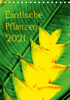 Exotische Pflanzen (Tischkalender 2021 DIN A5 hoch) von Brun,  Annina